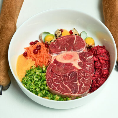5 Highly Digestible Name Brand Dog Foods