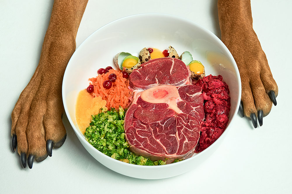 5 Highly Digestible Name Brand Dog Foods