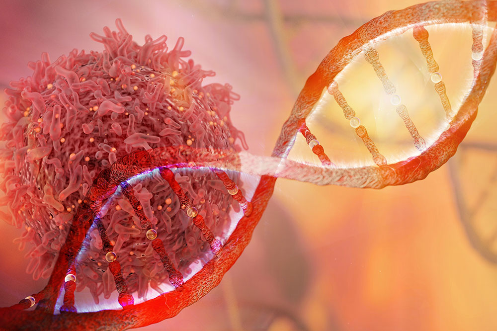 The Link Between Cancer and Genetics